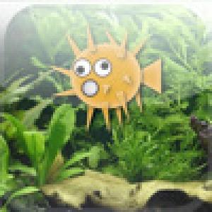  iReflex (2008). Нажмите, чтобы увеличить.