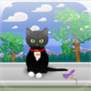  Kitty (2009). Нажмите, чтобы увеличить.