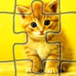  Kitty Puzzle (2009). Нажмите, чтобы увеличить.