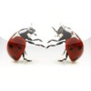  Lady Bugs on My Screen (2010). Нажмите, чтобы увеличить.