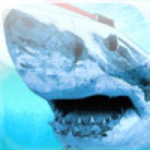  Laser Shark (2009). Нажмите, чтобы увеличить.