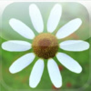  LoveNotLove (2009). Нажмите, чтобы увеличить.