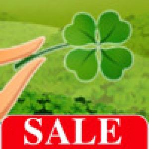  LuckyClover (2009). Нажмите, чтобы увеличить.