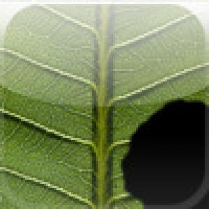  Maggot Burp (2009). Нажмите, чтобы увеличить.