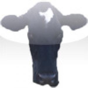  Magic Cow (2009). Нажмите, чтобы увеличить.