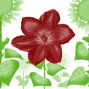  Magic Flower Garden (2010). Нажмите, чтобы увеличить.