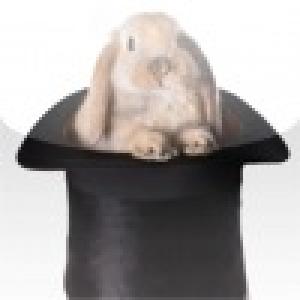  Magic Rabbit Slide Puzzle (2010). Нажмите, чтобы увеличить.