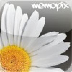  MemoPix (2010). Нажмите, чтобы увеличить.