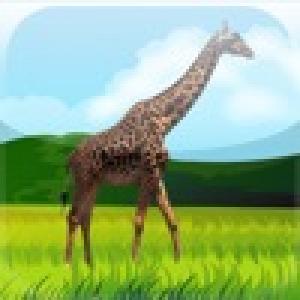  Memory Fun (2009). Нажмите, чтобы увеличить.