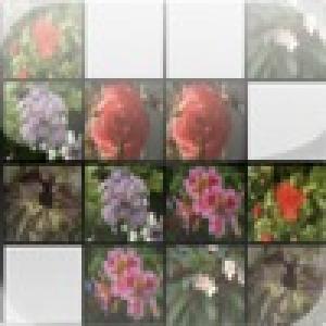  Memory-Flowers (2010). Нажмите, чтобы увеличить.