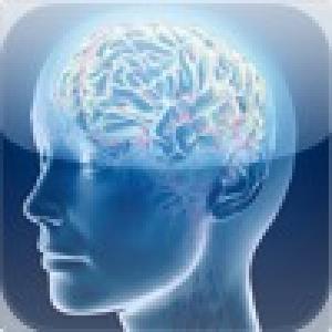  MemoryTrainer (2010). Нажмите, чтобы увеличить.