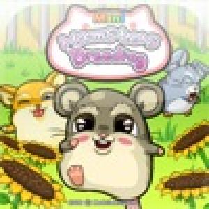  Mini Hamsters Breeding (2009). Нажмите, чтобы увеличить.