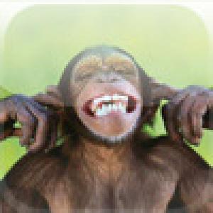  Monkey Poke (2009). Нажмите, чтобы увеличить.