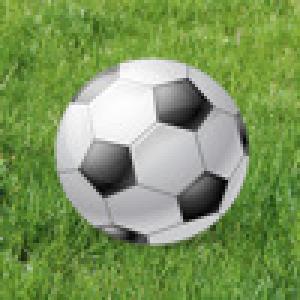  Moronic Quiz (2010). Нажмите, чтобы увеличить.