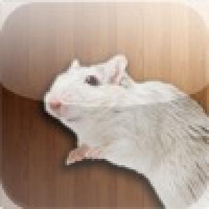  MouseMasher (2010). Нажмите, чтобы увеличить.