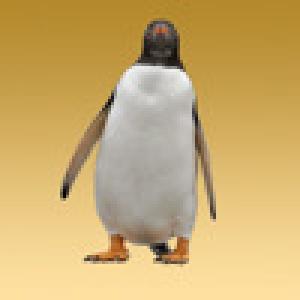 Penguin Jump on Icy Hill (2009). Нажмите, чтобы увеличить.