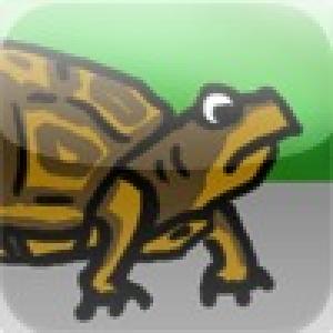  Pet Memory (2010). Нажмите, чтобы увеличить.