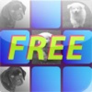  PhotoPairsFree (2010). Нажмите, чтобы увеличить.