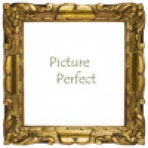  Picture Perfect (2010). Нажмите, чтобы увеличить.