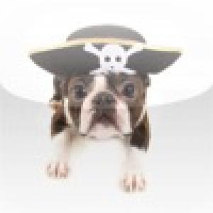  Pirate Dog Slide Puzzle (2010). Нажмите, чтобы увеличить.