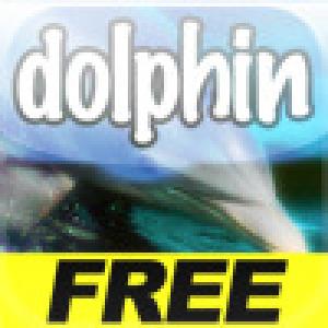 Play with Dolphins (2009). Нажмите, чтобы увеличить.