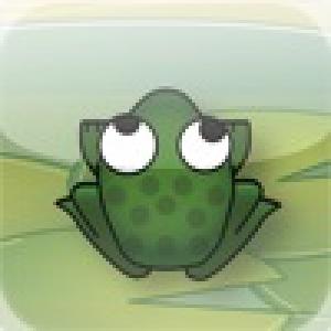  Playground - Frogs (2010). Нажмите, чтобы увеличить.