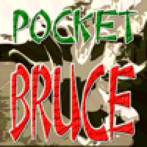  Pocket Bruce (2009). Нажмите, чтобы увеличить.