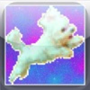  Puppy Taps (2009). Нажмите, чтобы увеличить.