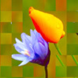  Q-Puzzle (2010). Нажмите, чтобы увеличить.