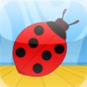  RedFish - Shadow Bug (2010). Нажмите, чтобы увеличить.