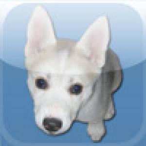  Save the STEAK! (2009). Нажмите, чтобы увеличить.