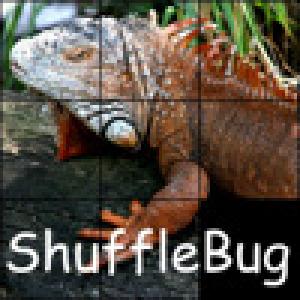  ShuffleBug (2009). Нажмите, чтобы увеличить.
