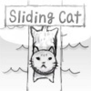  SlidingCat en (2010). Нажмите, чтобы увеличить.