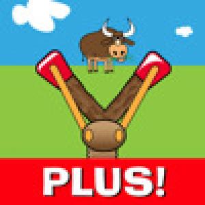  Slingshot Cowboy Plus (2009). Нажмите, чтобы увеличить.