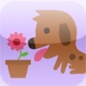  Sort Slider (2009). Нажмите, чтобы увеличить.