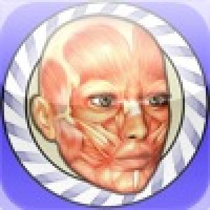  Speed Anatomy (2009). Нажмите, чтобы увеличить.