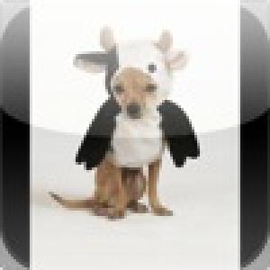  Super Crazy Cow Dog Slide Puzzle (2010). Нажмите, чтобы увеличить.