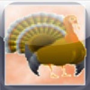  Thanksgiving Taps (2009). Нажмите, чтобы увеличить.