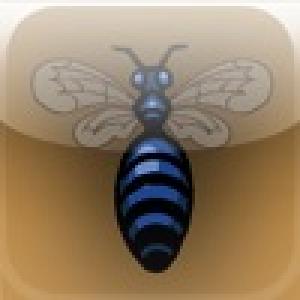  The Beehive (2009). Нажмите, чтобы увеличить.