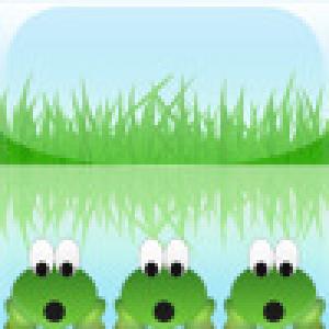  The Frog Puzzle (2009). Нажмите, чтобы увеличить.