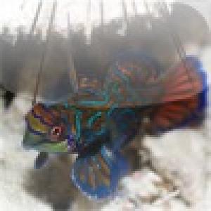  Tropical Fish Slide Puzzle (2010). Нажмите, чтобы увеличить.