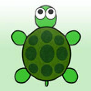  Turtle Bounce (2008). Нажмите, чтобы увеличить.