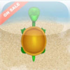  Turtle Match (2009). Нажмите, чтобы увеличить.