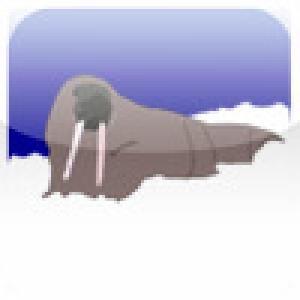  Walrus Fun Game (2009). Нажмите, чтобы увеличить.