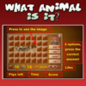  What Animal is it (2010). Нажмите, чтобы увеличить.