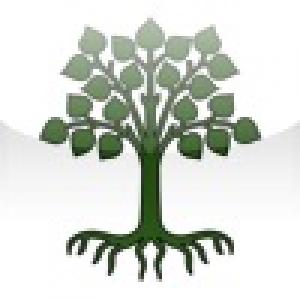  Word Tree (2009). Нажмите, чтобы увеличить.