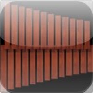  Xylophone-30 different tones (2010). Нажмите, чтобы увеличить.