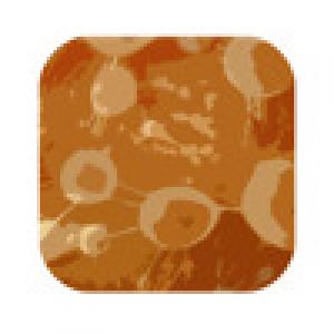  YourPairs (2009). Нажмите, чтобы увеличить.