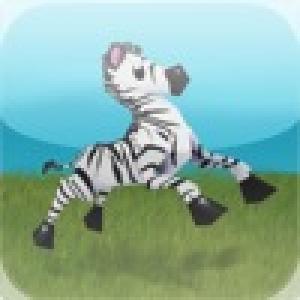  Zebra Racer (2010). Нажмите, чтобы увеличить.