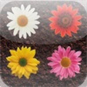  Zen Flowers (2010). Нажмите, чтобы увеличить.